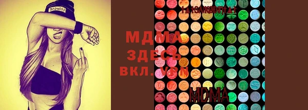 МДПВ Елизово
