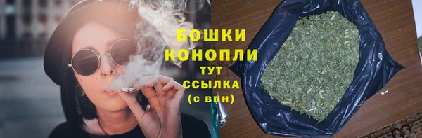 прущая мука Ельня