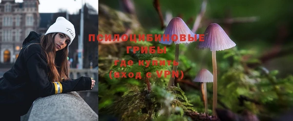 PSILOCYBIN Елабуга