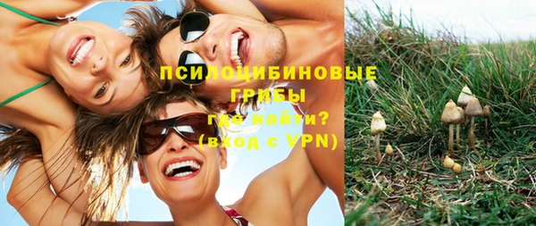 стафф Дмитров