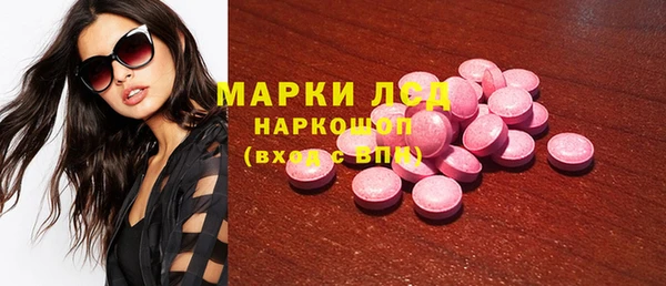 стафф Дмитров