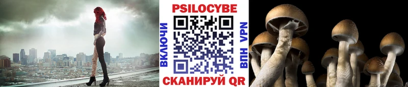 Галлюциногенные грибы прущие грибы  Купить  Новоузенск 