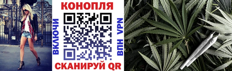Бошки Шишки конопля  Купить закладки  Новоузенск 